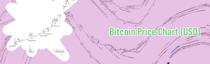 Bitcoin price to usd