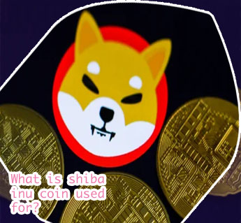 Cryptocurrency shiba inu coin price