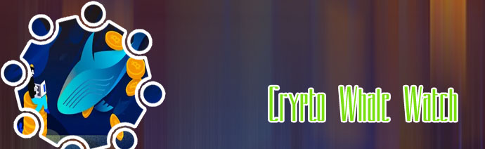 Whale crypto