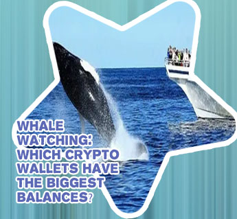 Whale watcher crypto